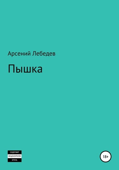 Постер книги Пышка