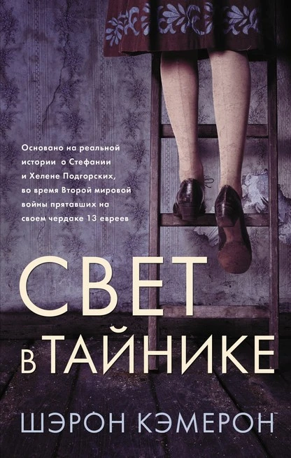 Постер книги Свет в тайнике