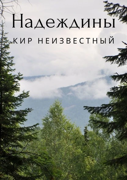 Постер книги Надеждины