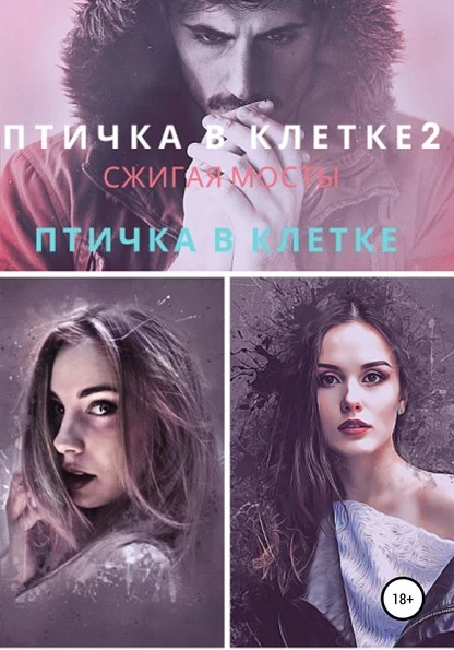 Постер книги Птичка в клетке. Птичка в клетке 2. Сжигая мосты