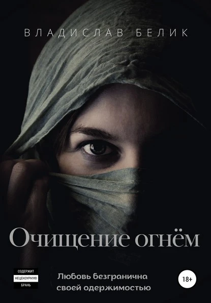 Постер книги Очищение огнём