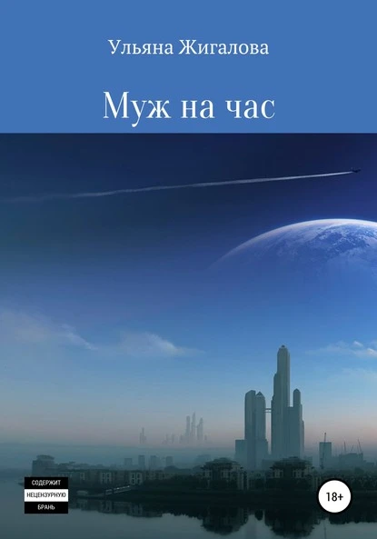 Постер книги Муж на час