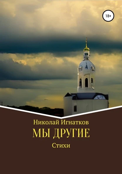 Постер книги Мы другие