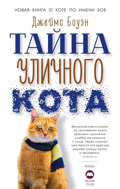 Тайна уличного кота