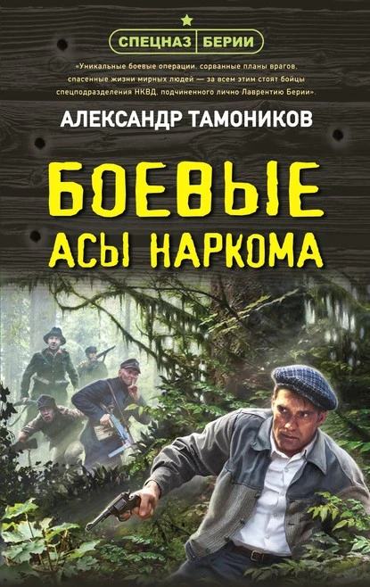 Постер книги Боевые асы наркома