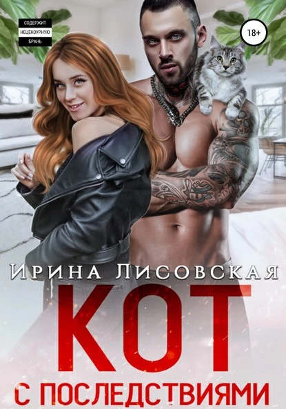 Постер книги Кот с последствиями