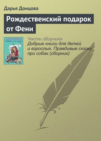 Постер книги Рождественский подарок от Фени