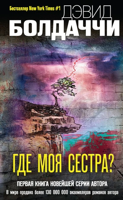 Постер книги Где моя сестра?