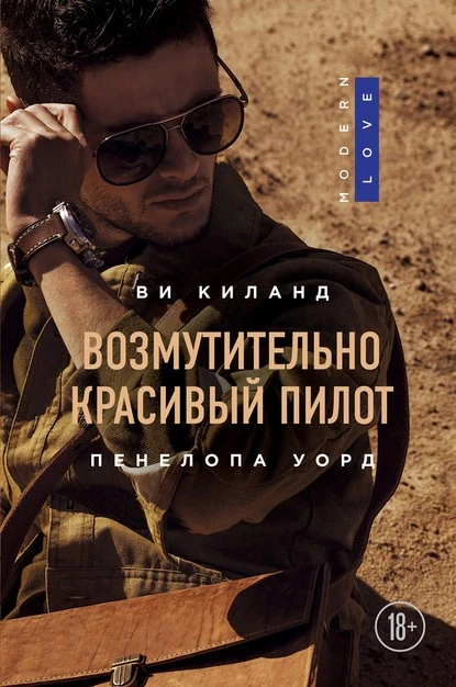 Постер книги Возмутительно красивый пилот