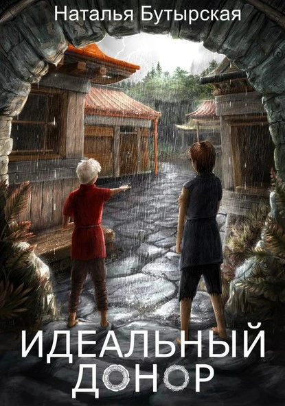 Постер книги Идеальный донор