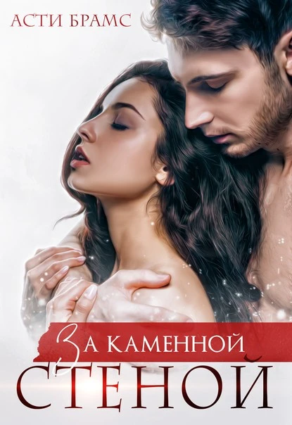 Постер книги За каменной стеной