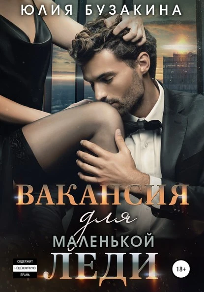 Постер книги Вакансия для маленькой леди