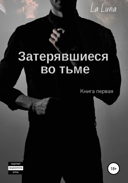 Постер книги Затерявшиеся во тьме