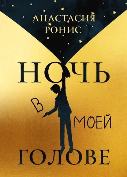 Постер книги Ночь в моей голове