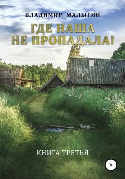 Постер книги Где наша не пропадала – 3