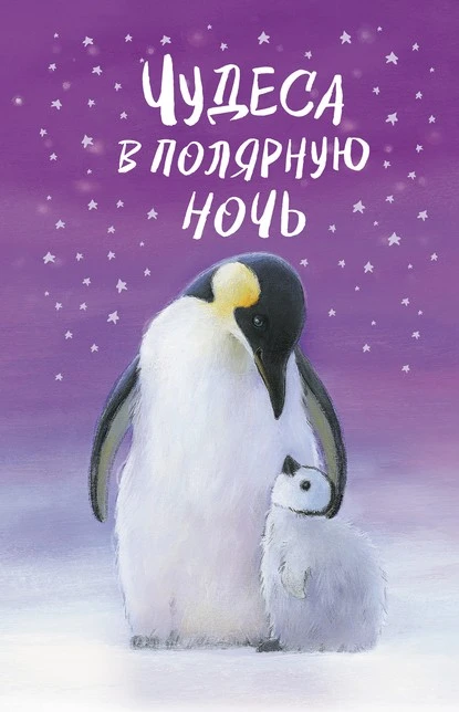 Постер книги Чудеса в полярную ночь