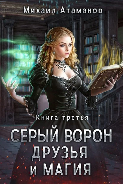 Постер книги Серый Ворон. Книга 3. Друзья и магия