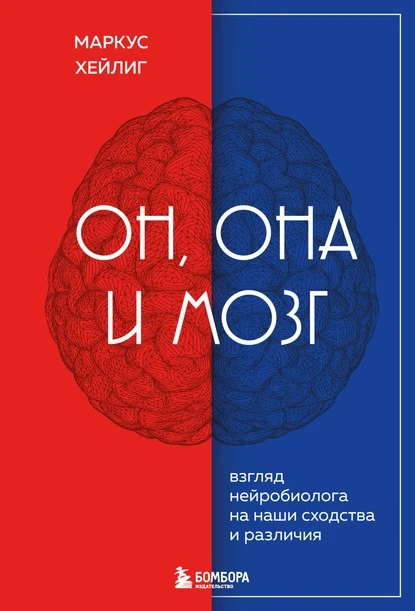 Постер книги Он, она и мозг. Взгляд нейробиолога на наши сходства и различия