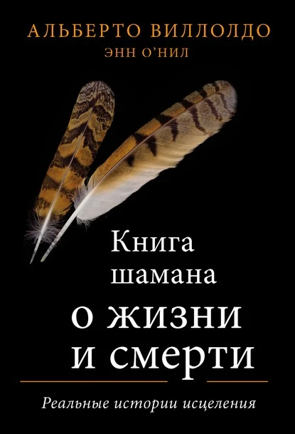 Постер книги Книга шамана о жизни и смерти. Реальные истории исцеления