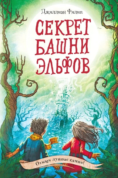 Постер книги Секрет башни эльфов