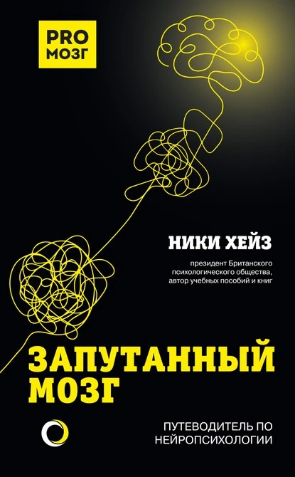 Постер книги Запутанный мозг. Путеводитель по нейропсихологии