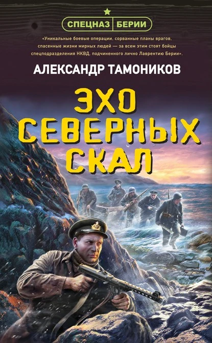 Постер книги Эхо северных скал