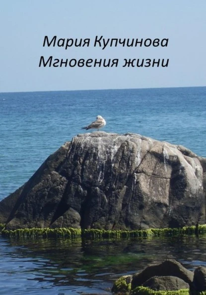 Постер книги Мгновения жизни