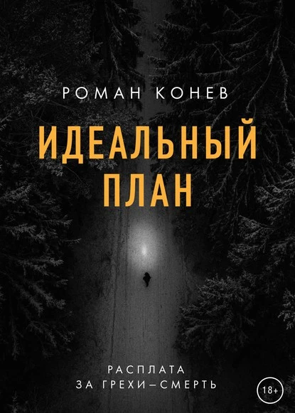 Постер книги Идеальный план