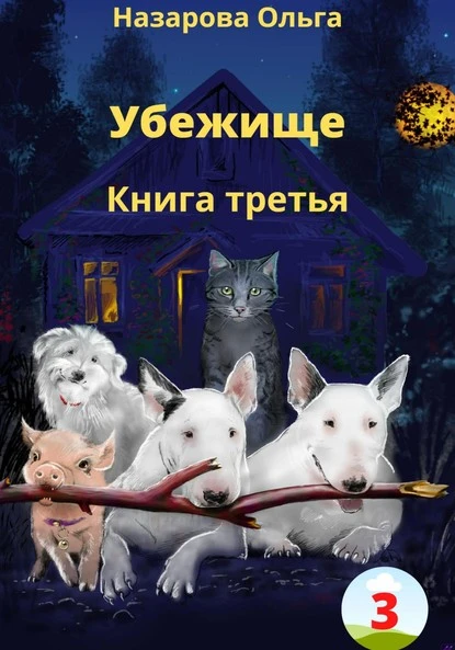 Постер книги Убежище. Книга третья