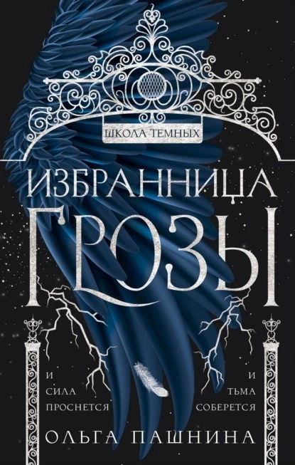 Постер книги Школа темных. Избранница грозы