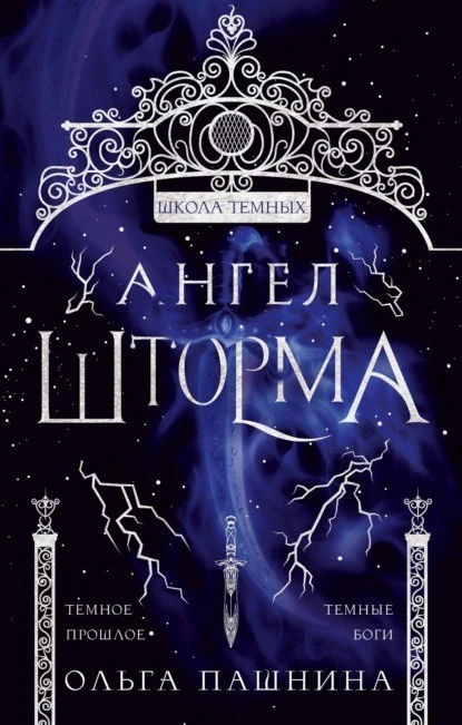 Постер книги Школа темных. Ангел шторма