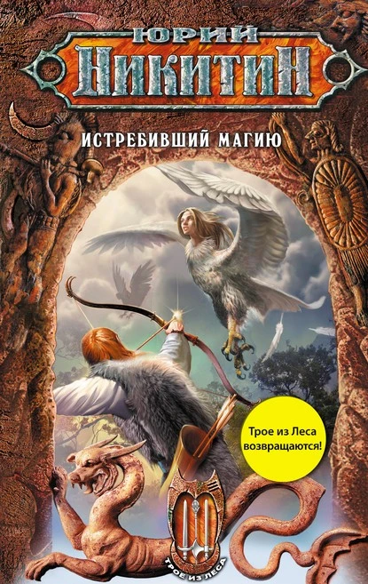 Постер книги Истребивший магию