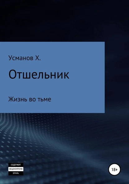 Постер книги Отшельник. Жизнь во тьме