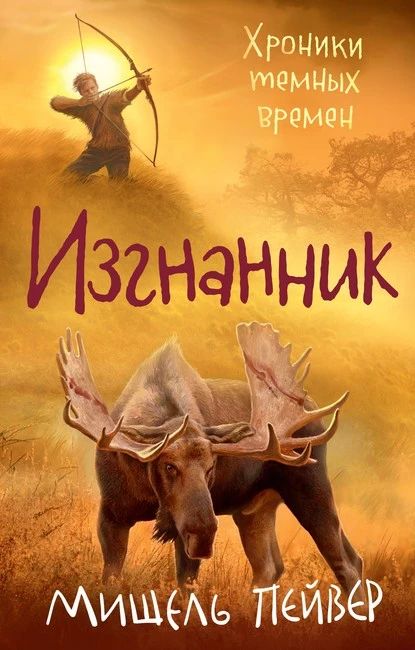 Постер книги Изгнанник