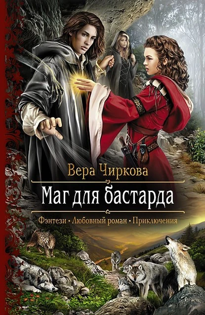 Постер книги Маг для бастарда