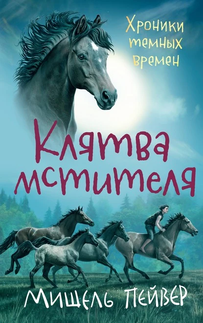 Постер книги Клятва мстителя