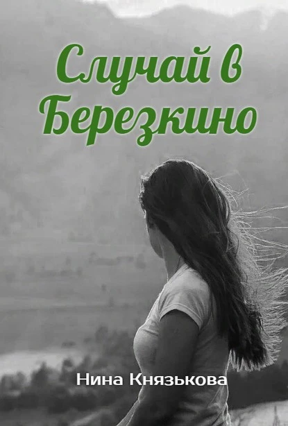 Постер книги Случай в Березкино