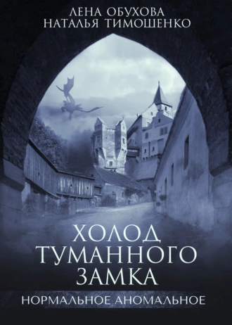 Постер книги Холод туманного замка