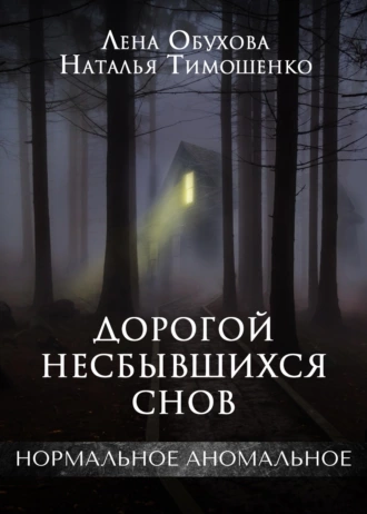 Постер книги Дорогой несбывшихся снов