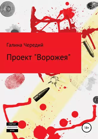 Постер книги Проект «Ворожея»