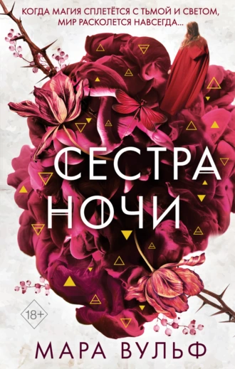 Постер книги Сестра ночи