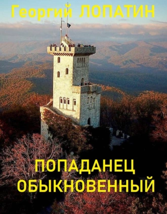 Постер книги Попаданец обыкновенный