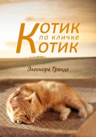 Постер книги Котик по кличке Котик