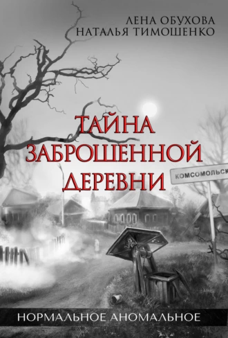 Постер книги Тайна заброшенной деревни