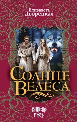 Постер книги Солнце Велеса