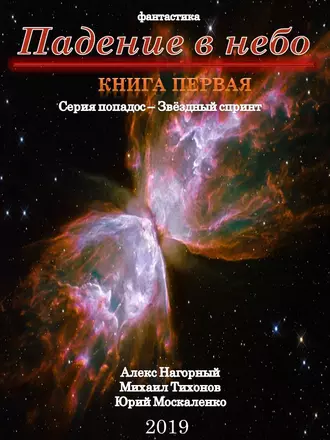 Постер книги Падение в небо