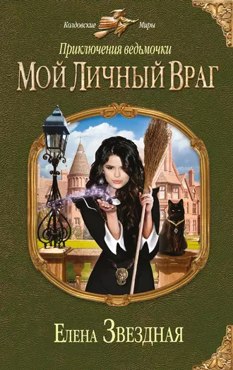 Постер книги Мой личный враг