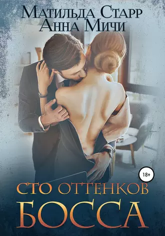 Постер книги Сто оттенков босса