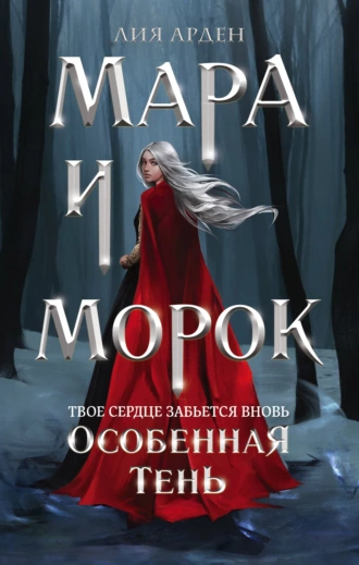 Постер книги Мара и Морок. Особенная Тень