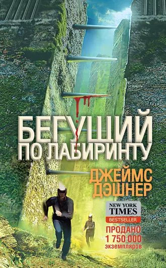 Постер книги Бегущий по Лабиринту